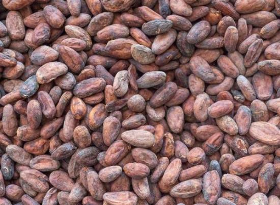 Какао - часть 1: польза для здоровья