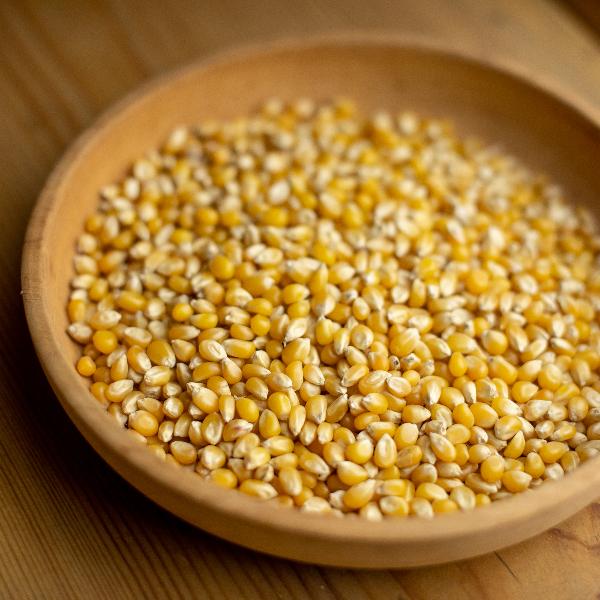 Кукуруза в зернах для попкорна